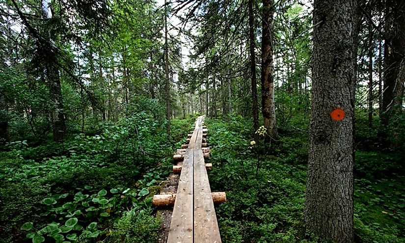 Pictures from Kuikan kierros nature trail at Petkeljärvi National Park in Ilomantsi, Finland.