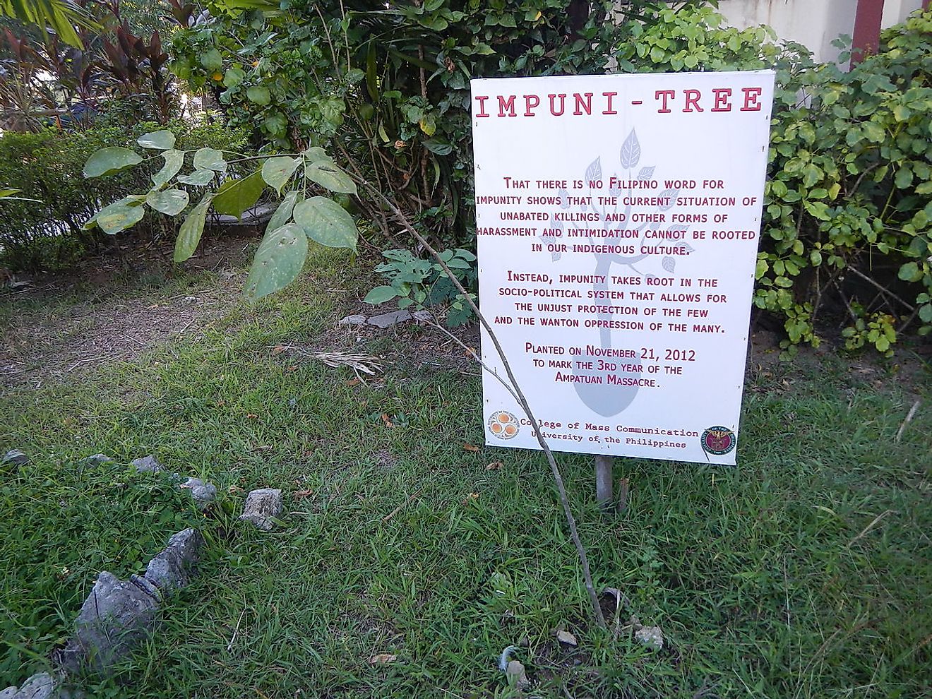 Symbolic 'Impuni-tree' planted for 3rd anniversary of Maguindanao massacre. Image credit: Ramon FVelasquez /Wikimedia.org