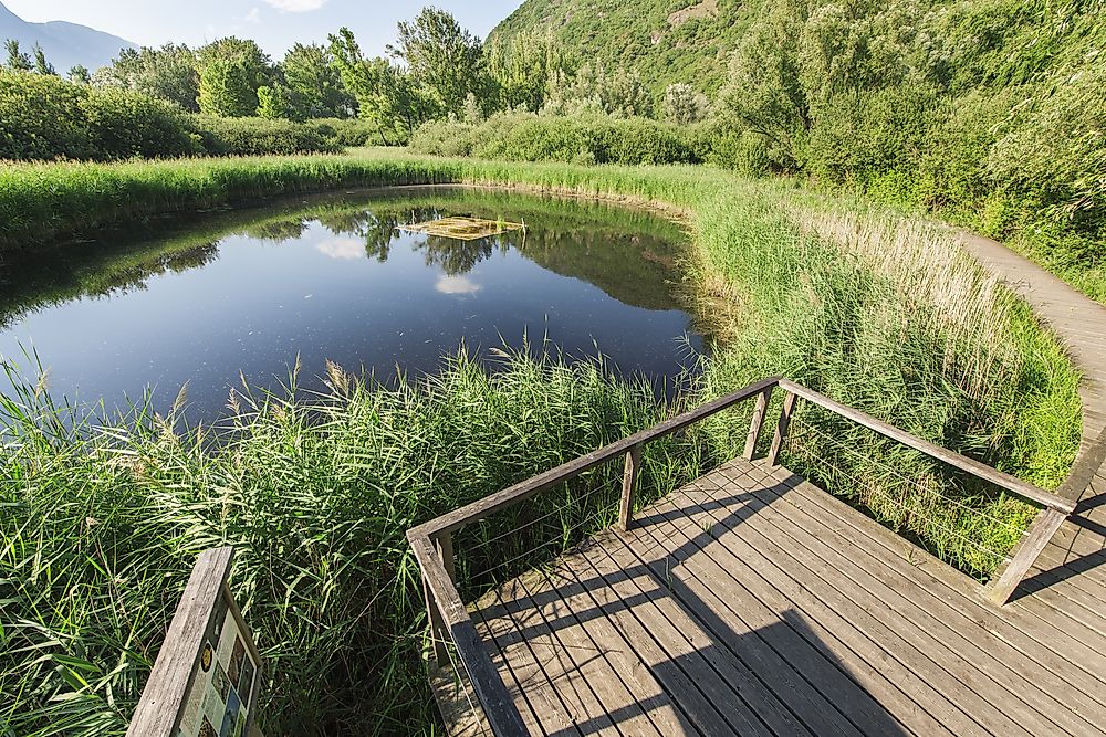 A biotope seen here in Italy. 