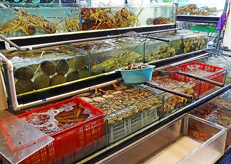A vendor's stall has an assorted variety of marine cuisine at this Hong Kong seafood market.