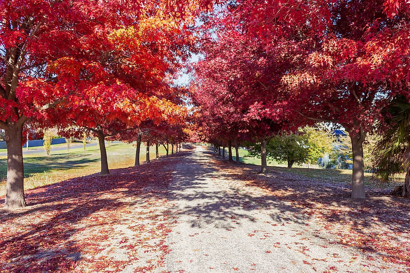 Beechworth, Victoria, Australia
