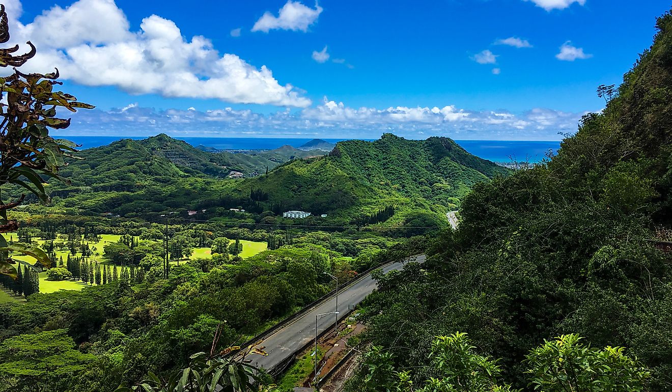 View seen from hiking on the Old Pali road of the Pali Highway. Editorial credit: Kara Knight / Shutterstock.com