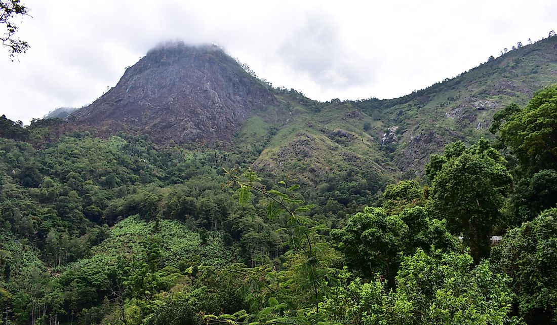 Forested hills of the Eastern Ghats in India.