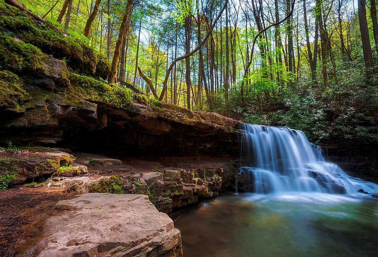 Spring time hiking along Kiner Creek in Laurel Run Park in Church Hill, Tennessee.