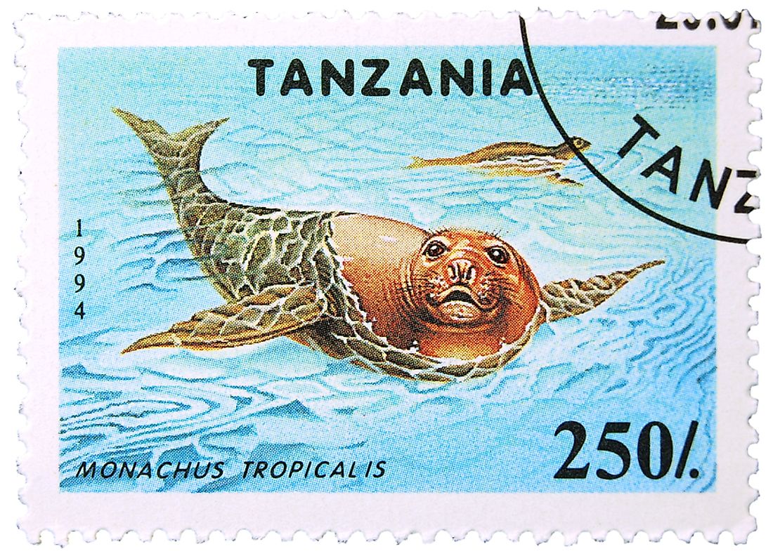 Stamp commemorating the extinct Caribbean Monk Seal. Editorial credit: EtiAmmos / Shutterstock.com