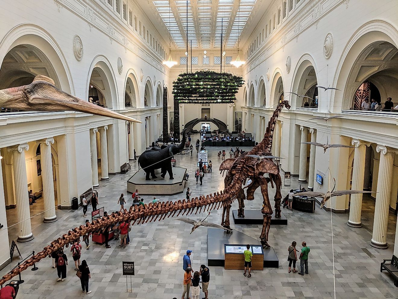 Field Museum, Chicago, Illinois. Image credit: Travis Wise/Flickr.com