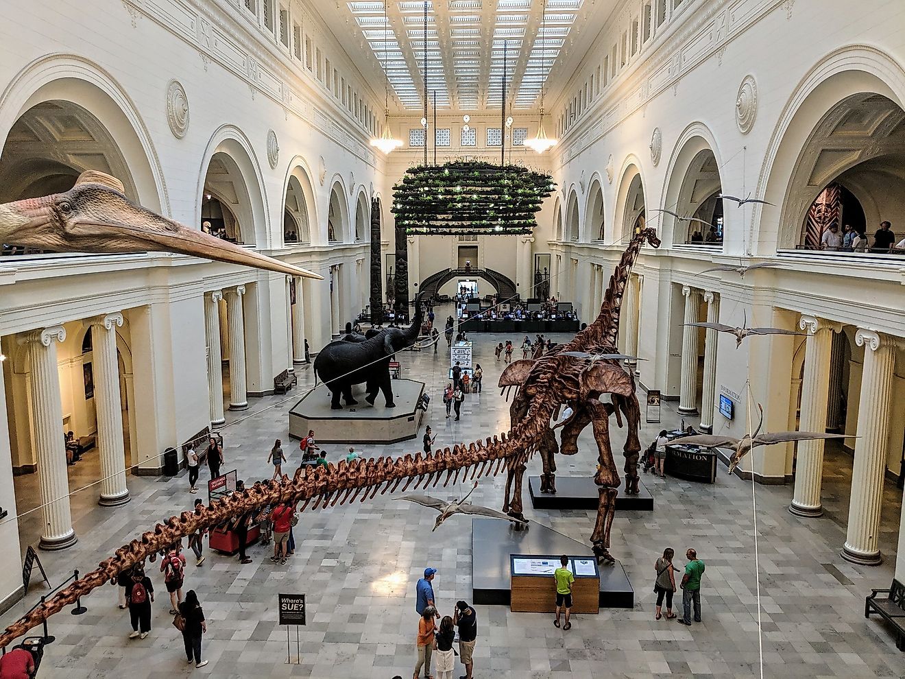 10-best-natural-history-museums-around-the-globe-worldatlas