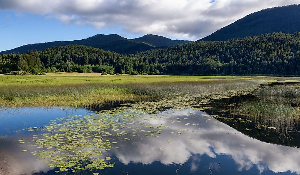 The water levels of Lake Cerknica change with the seasons.