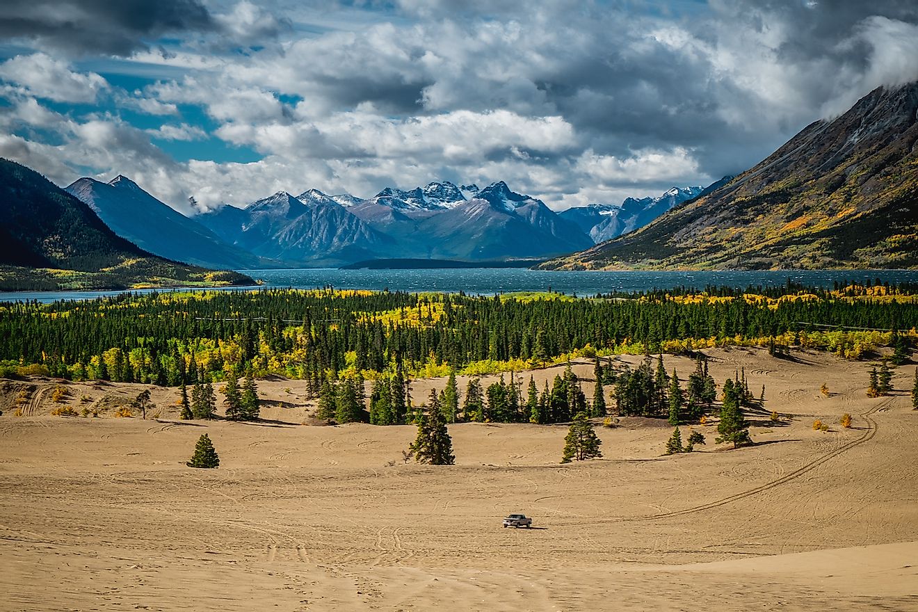 Carcross Desert in Yukon. Image credit: Jiri Kulisek/Shutterstock.com