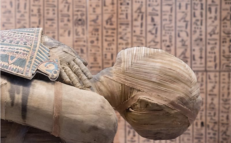 An Egyptian mummy