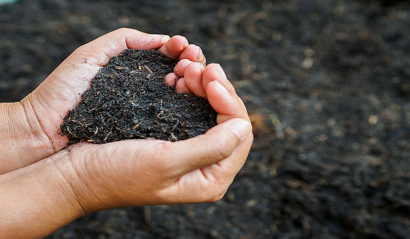 The first International Soil Day was commemorated on December 5, 2014.