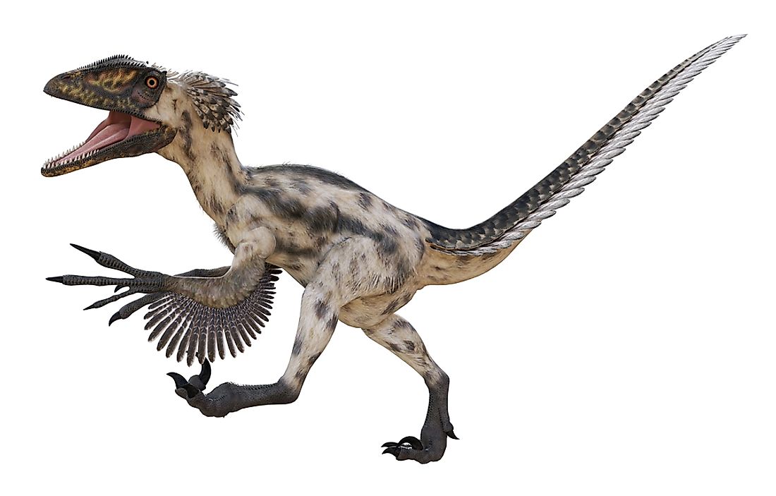 A 3D rendering of a Deinonychus. 