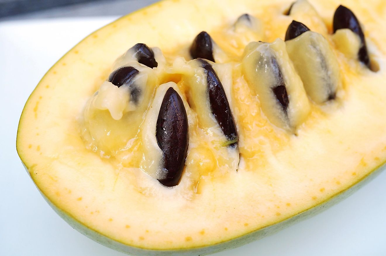 Pawpaw resembles tropical fruits and has been mentioned several times in connection to prominent historical figures.