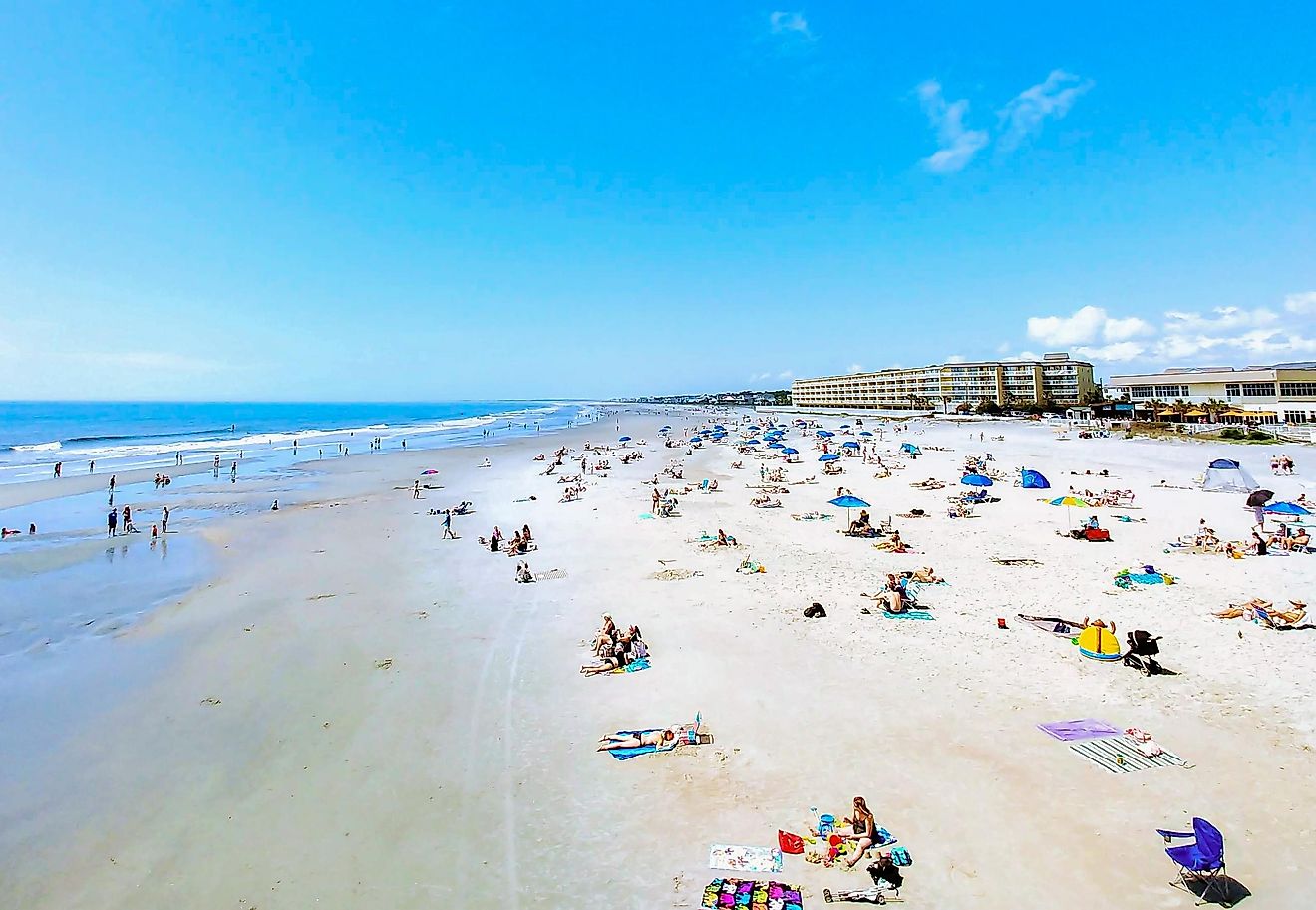 A view of Folly Beach with people on the beach and a seagull flying by