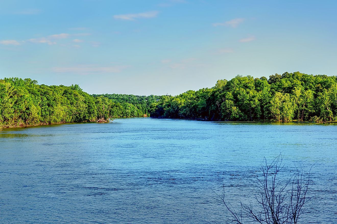 A view looking down stream on the Catawba River with forest on each side. 