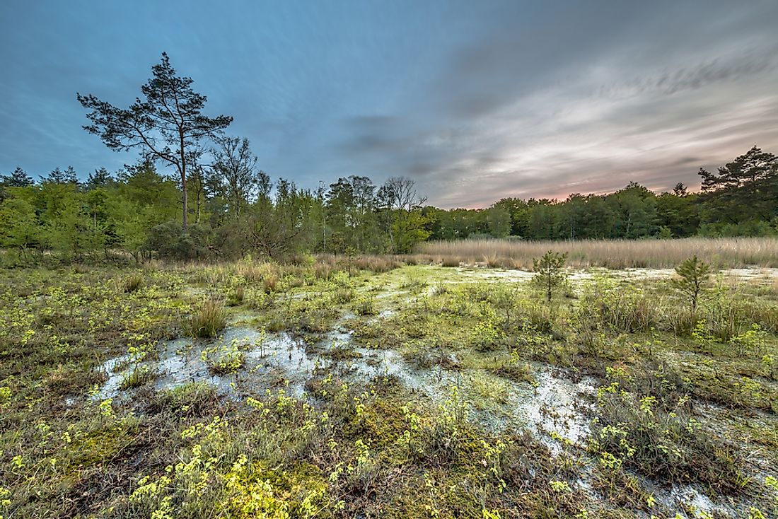 The Northern European Plain contains fertile farmland, as well as many bogs, heaths, and lakes. 