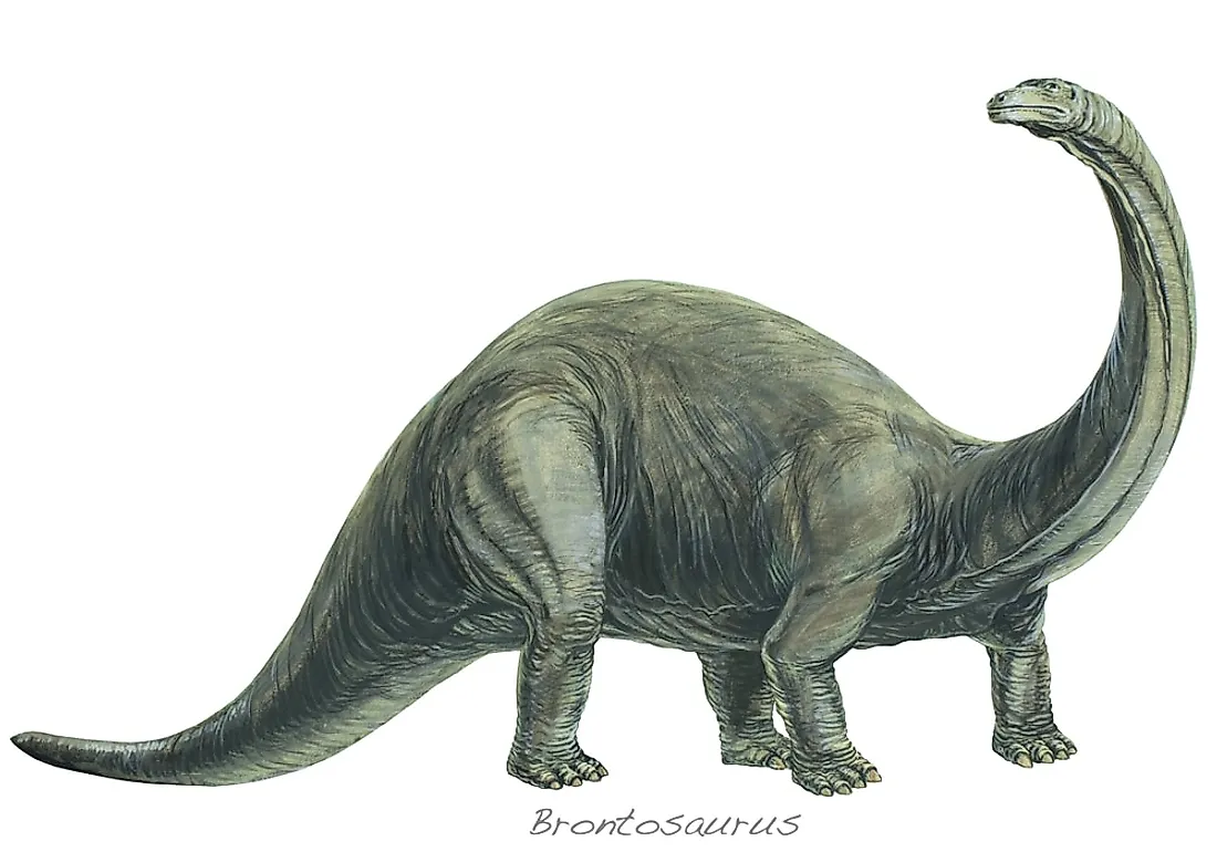 A 3D rendering of a brontosaurus.