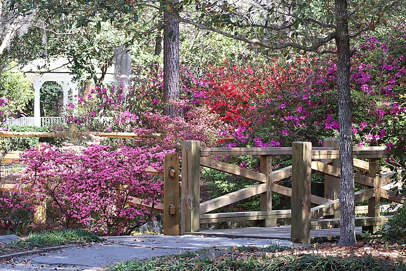 Azalea Park in Summerville, South Carolina (Credit: Al Munroe via Shutterstock)