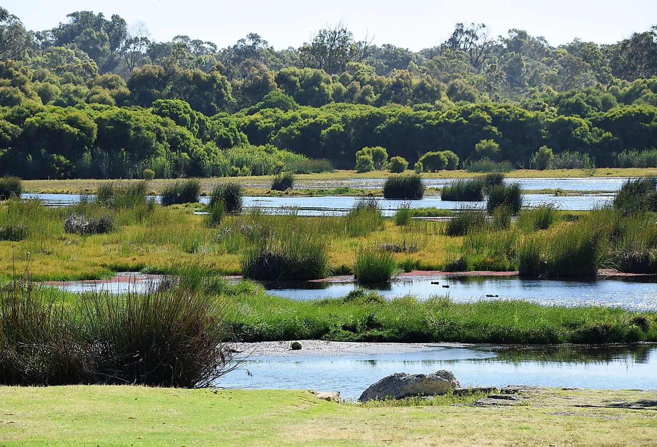 Ponds of Loch McNess at Yanchep National Park, Western Australia