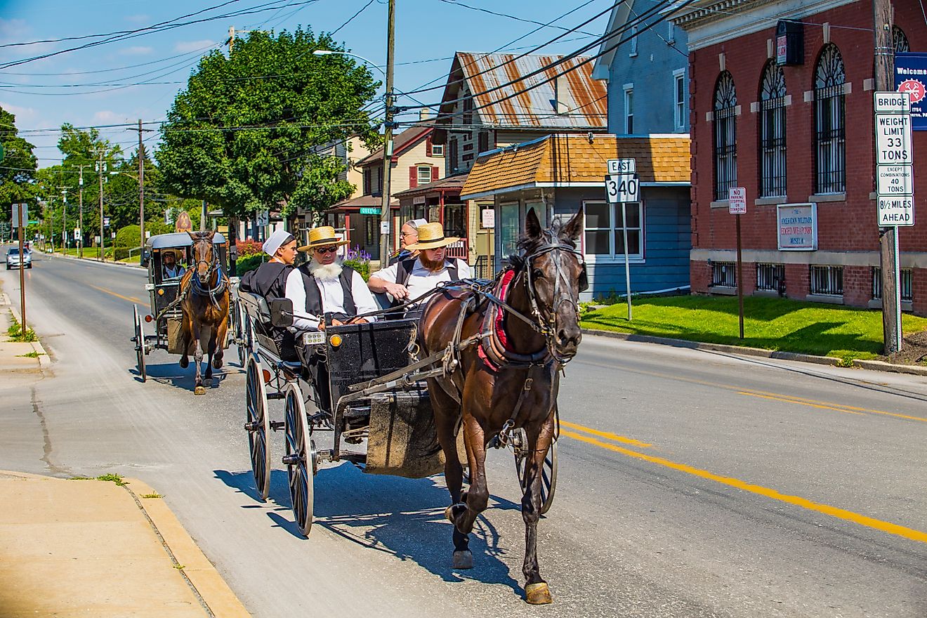 An Amish buggy in Intercourse, Pennsylvania. Editorial credit: George Sheldon / Shutterstock.com.