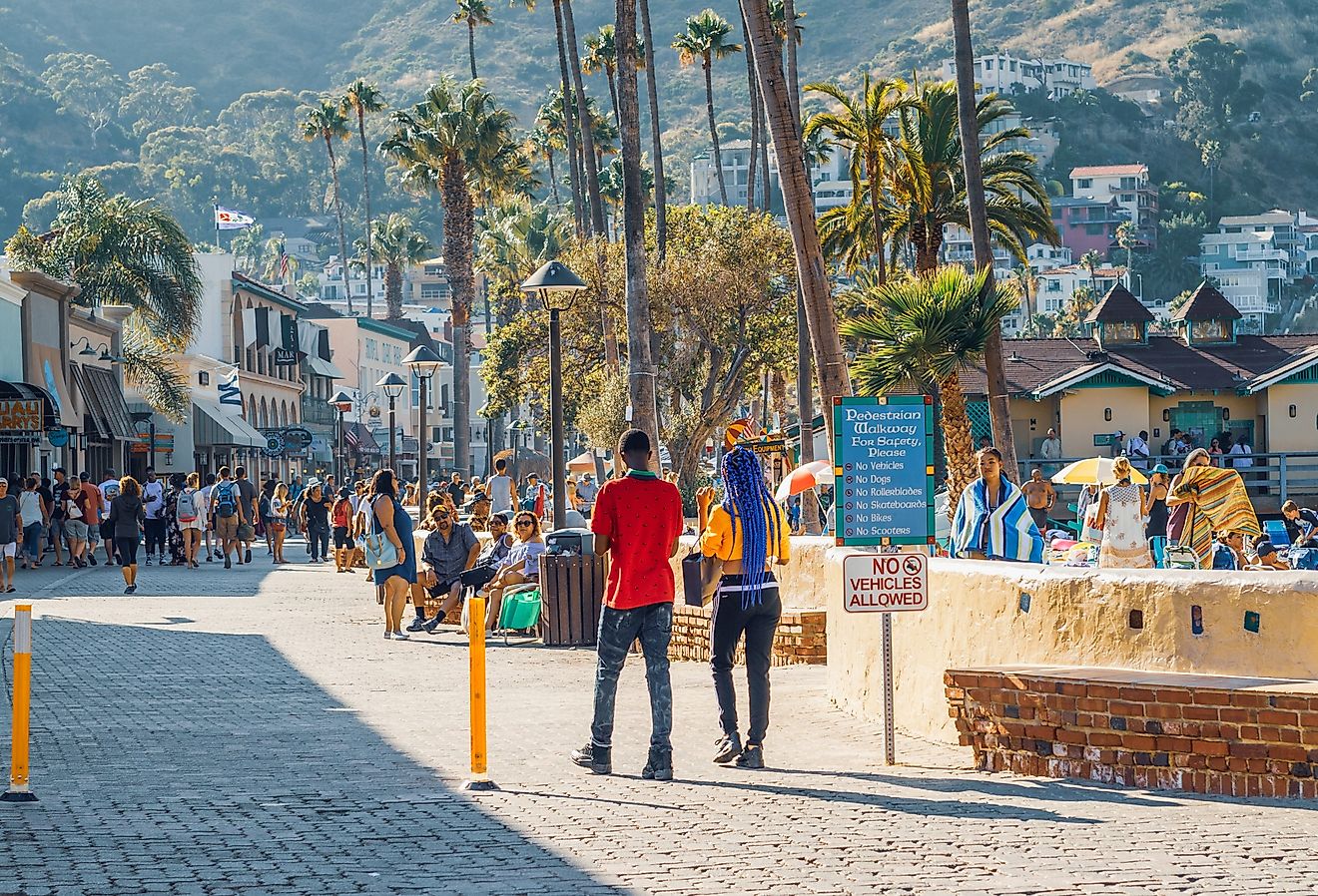 People walking around in Avalon, California, via Darryl Brooks / Shutterstock.com