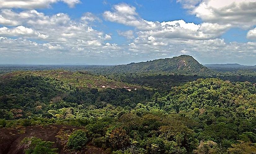 View from the Voltzberg in the Central Suriname Nature Reserve