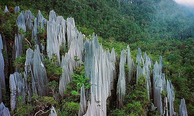 Limestone pinnacles at Mulu, Gunung Mulu National Park, Borneo.
