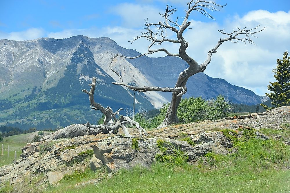 Crowsnest Pass, Canada Unique Places around the World WorldAtlas
