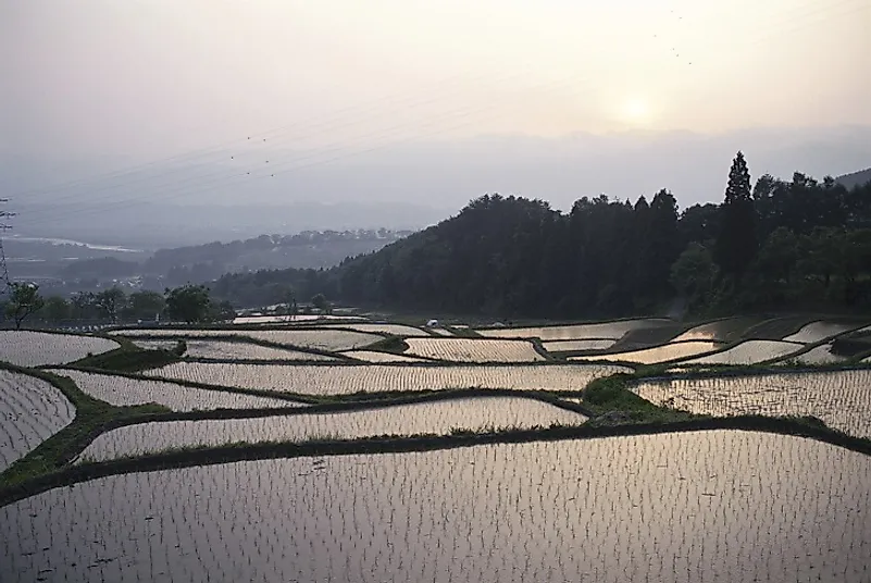 Terraced rice paddies in Japan.