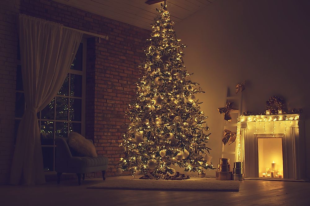 Pine or Fir trees are usually brought into the home and decorated during the Christmas season. 