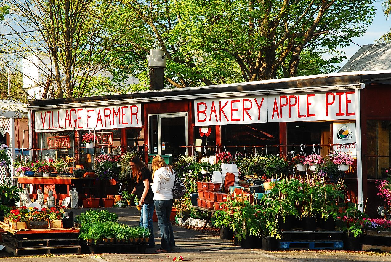Two adult women shop for spring plants at a roadside farm stand in Delaware Water Gap, Pennsylvania. Editorial credit: James Kirkikis / Shutterstock.com.