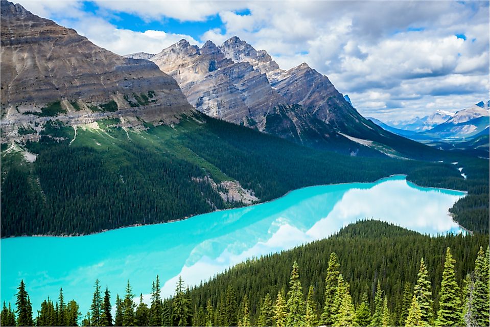 Peyto Lake in Banff National Park, Alberta, Canada.