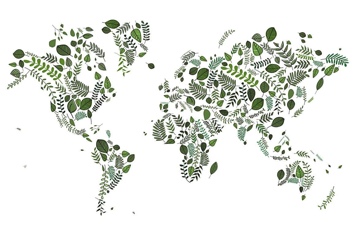 Earth's seven continents have been divided into nine botanical continents. 