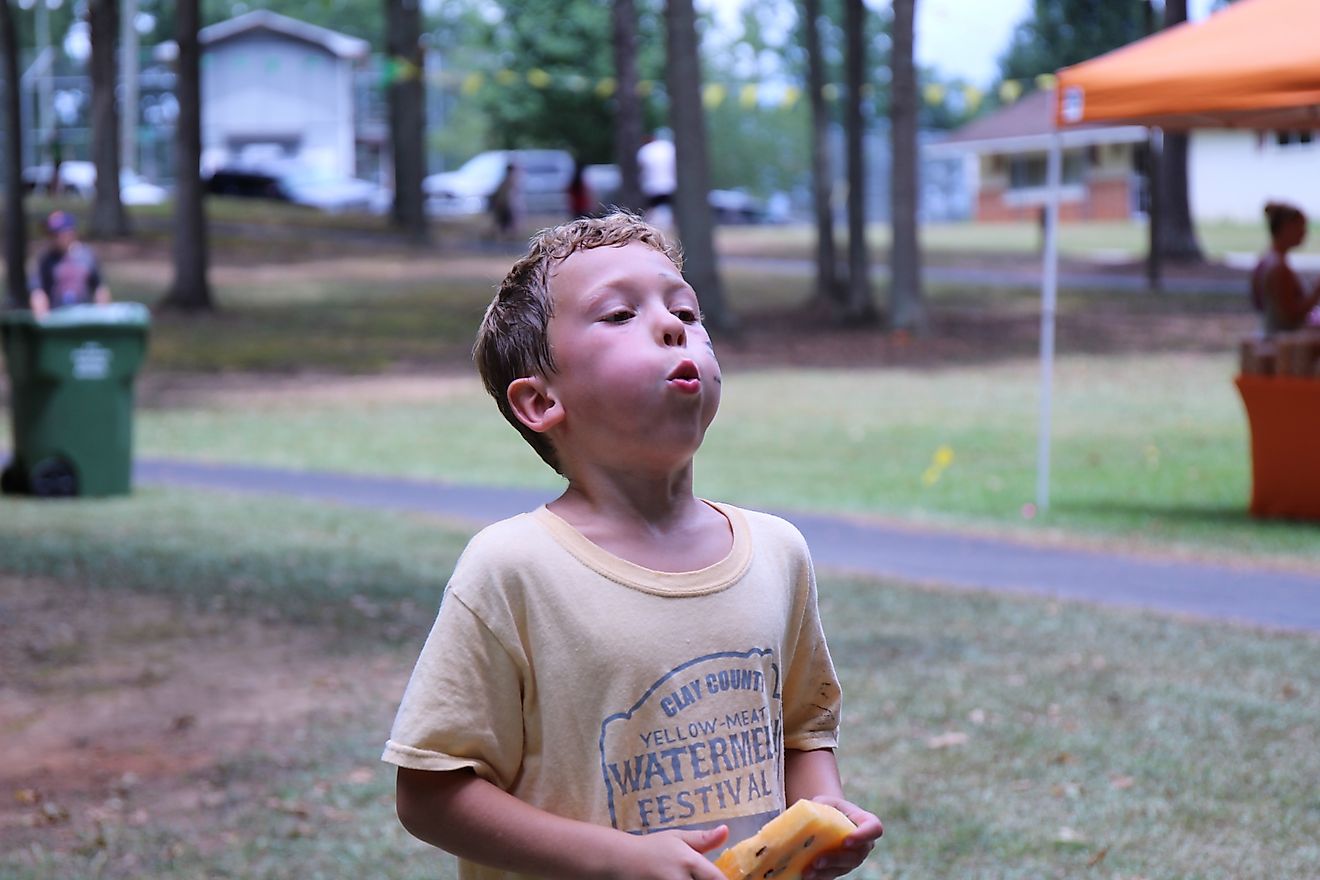 Clay County Yellow-Meated Watermelon Festival near Ashland, Alabama. Editorial credit: Susie Spades / Shutterstock.com
