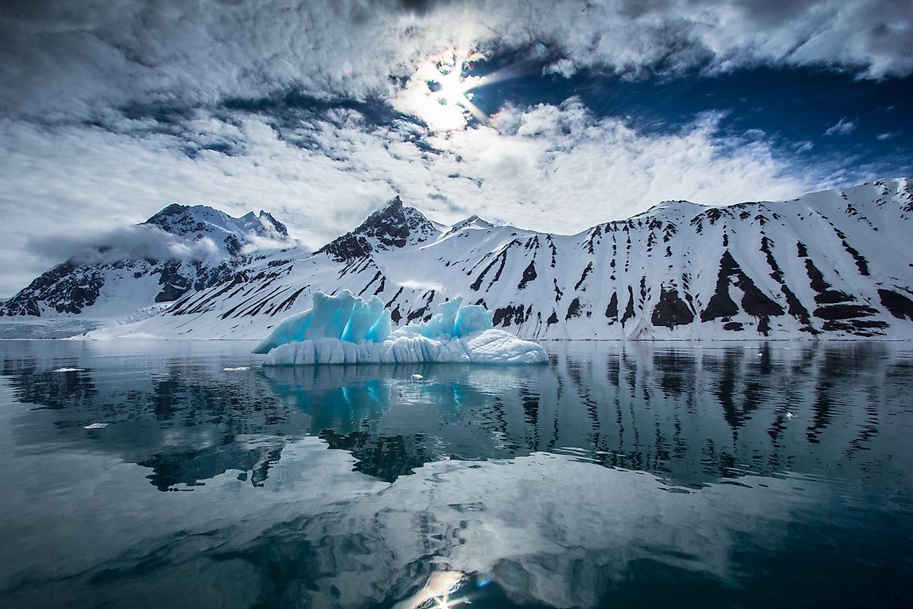 Despite its harsh climate, Antarctica is home to a small number of native plants.