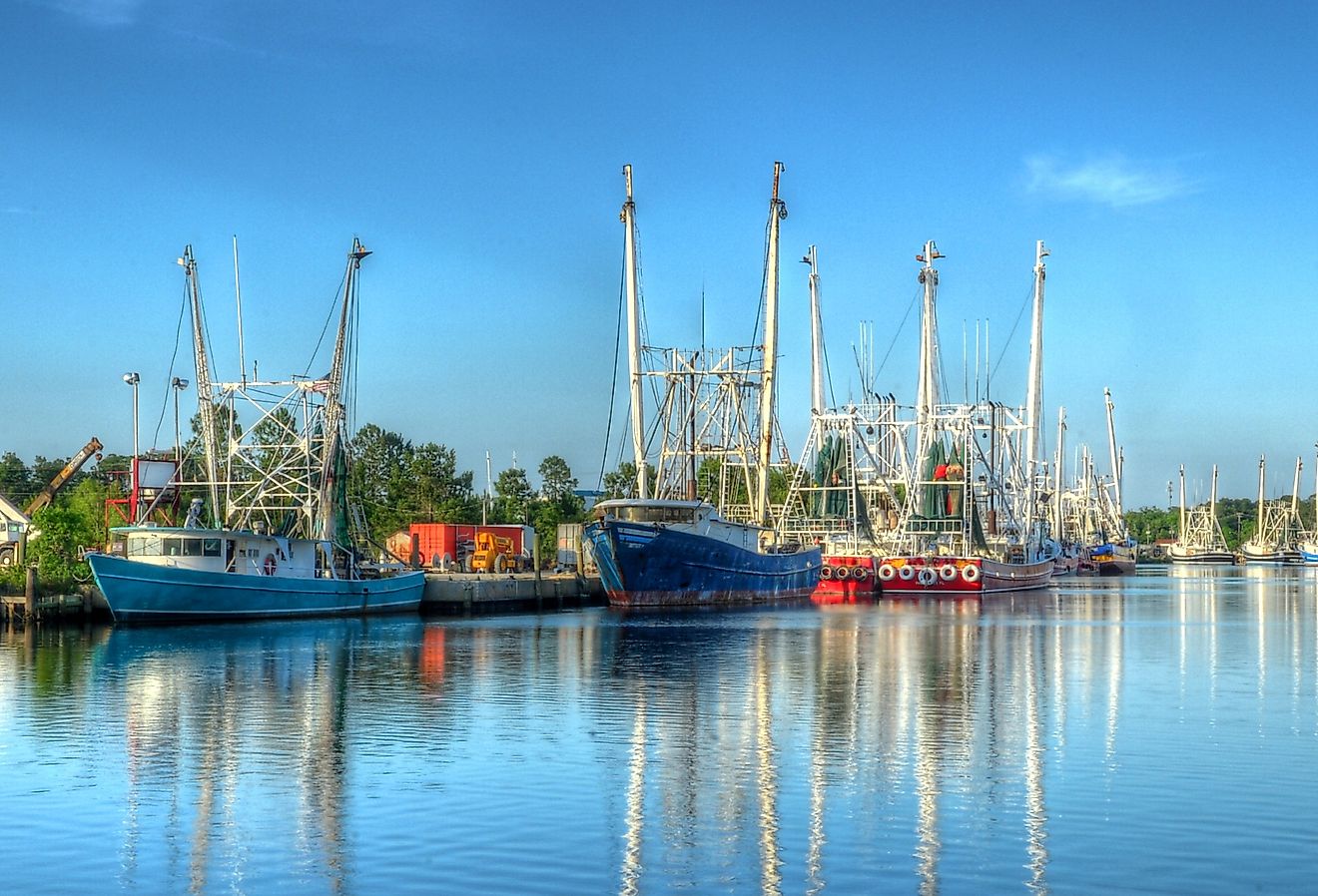 The marina at  Bayou La Batre, Alabama.