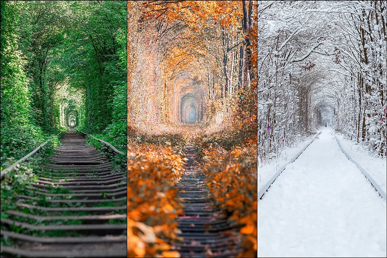 The Tunnel of Love is open to the public during all seasons.