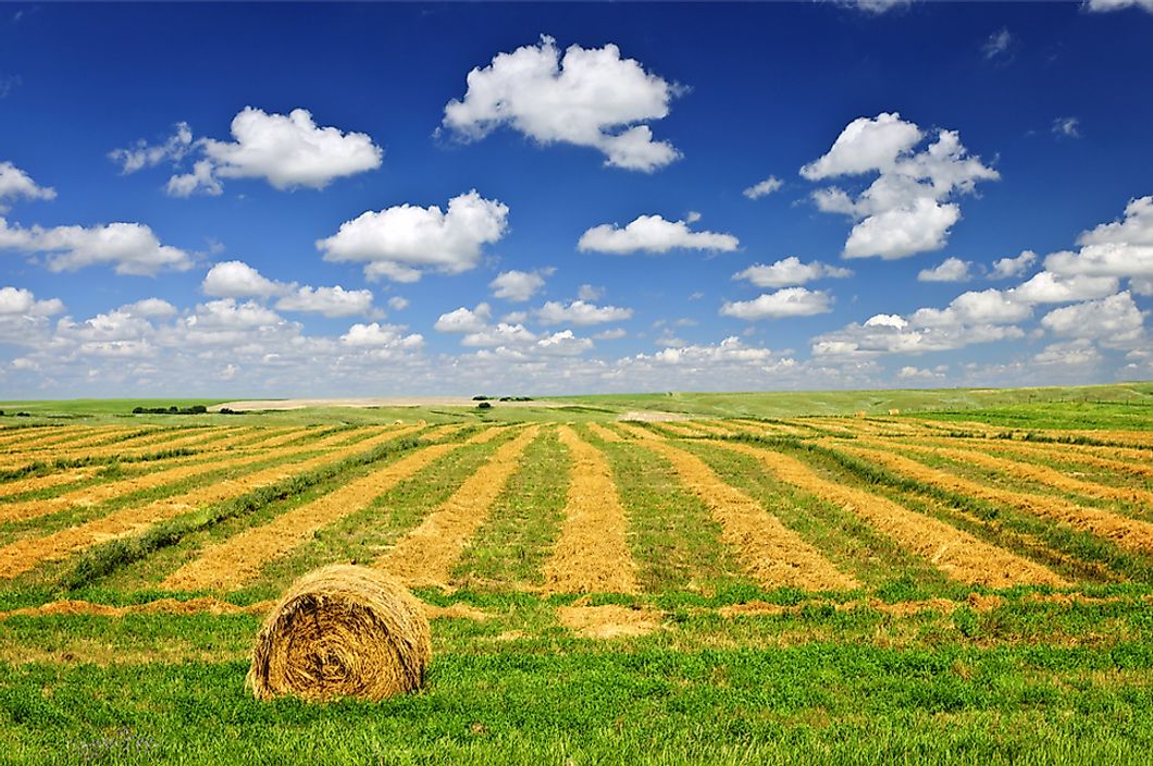 A wheat field in Saskatchewan, Canada.