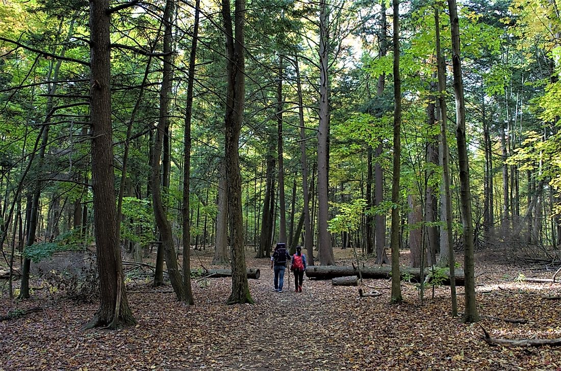Rouge Urban National Park, in the Greater Toronto Area, is the second largest park in Canada. 