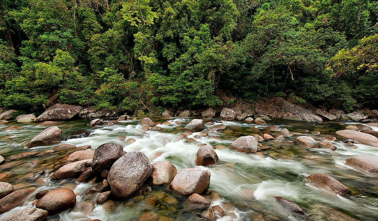 Mossman River, Daintree National Park, Queensland, Australia.