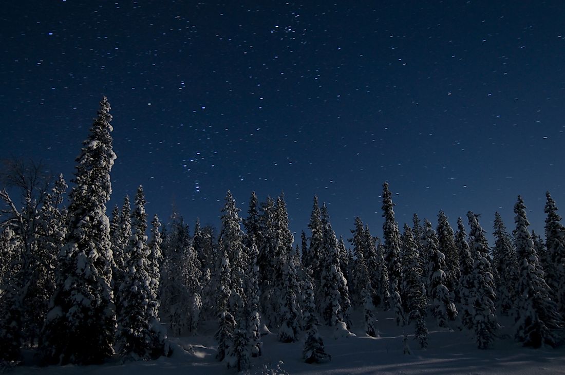 A boreal forest in northern Sweden. 