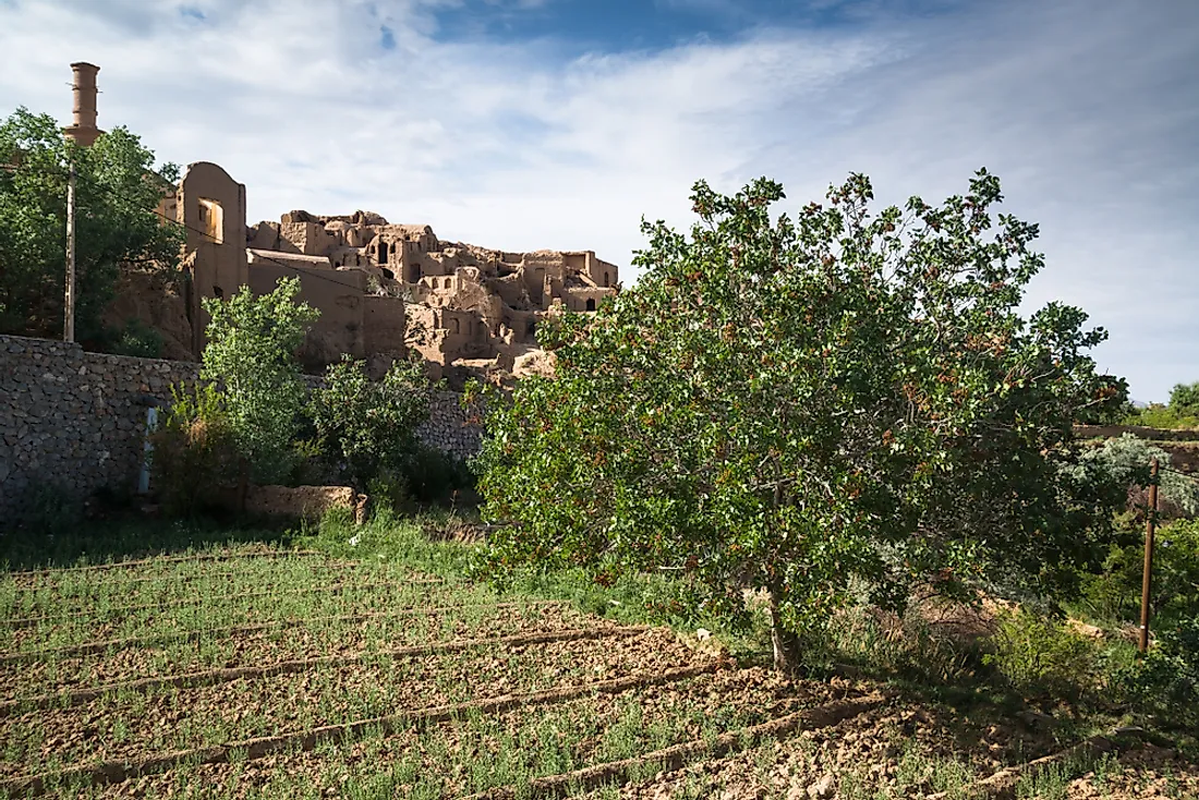 Iran produces more pistachios than any other nation in the world.