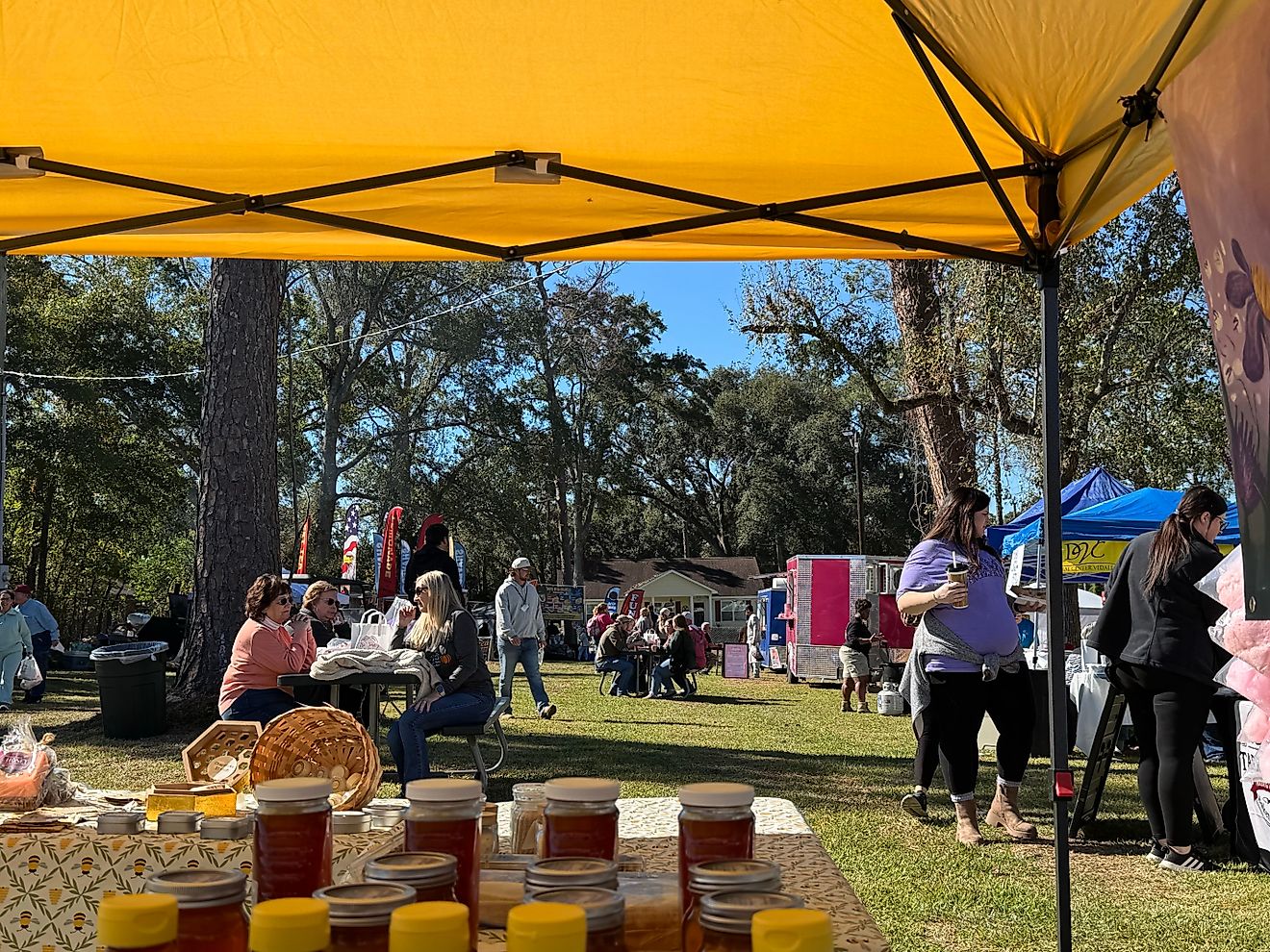 51st annual Million Pines Arts and Crafts Festival in Soperton, Georgia, via MaggieMyst / Shutterstock.com