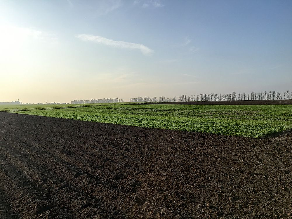 Comoros has the highest percentage of cultivated land.