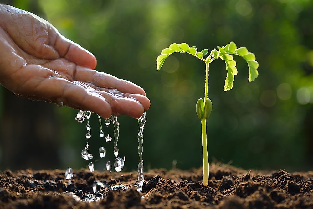 Pan evaporation helps farmers determine how much water is needed for their crops. 