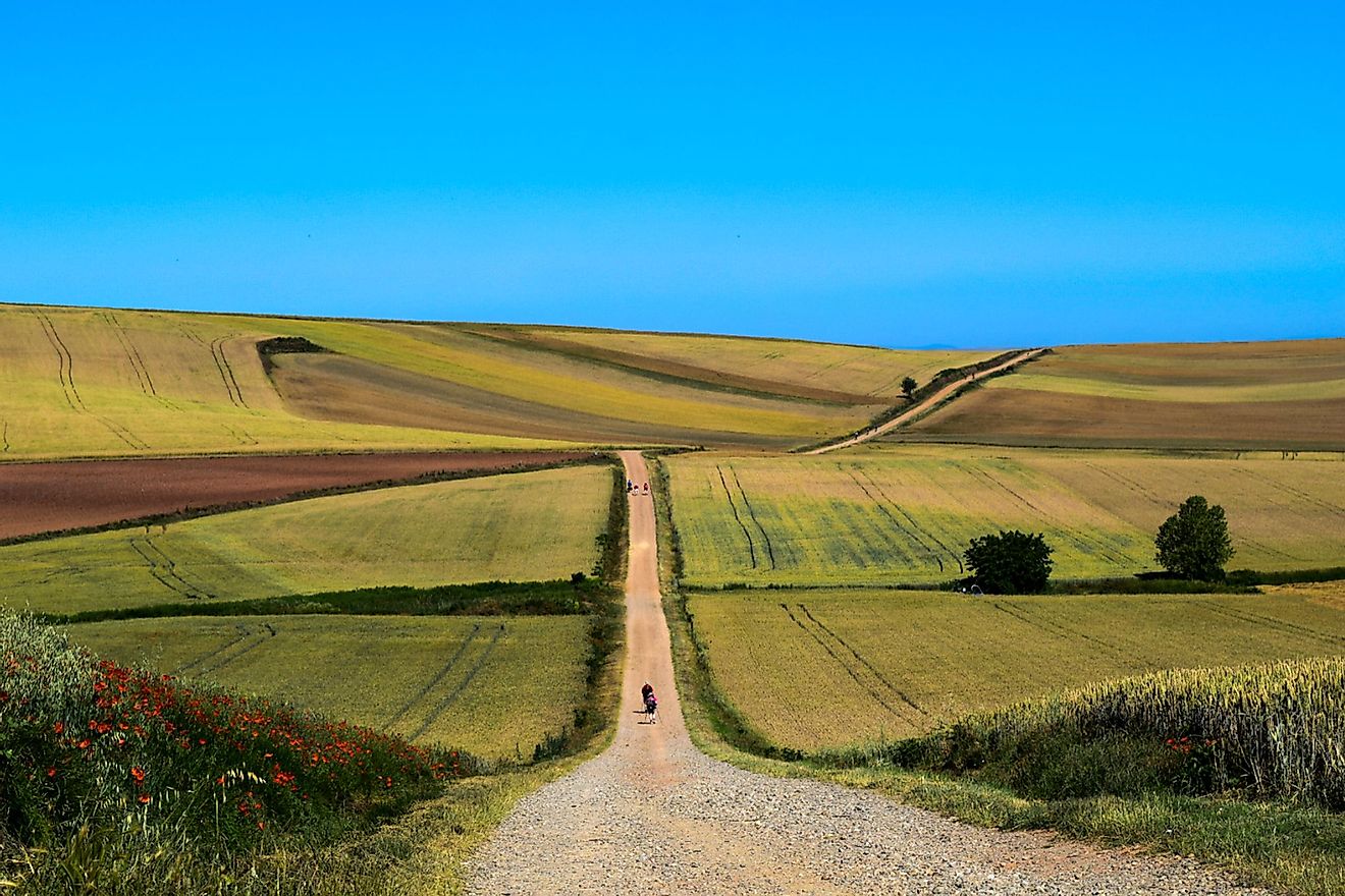 A string of pilgrims walks a long, rolling gravel road through the green Spanish countryside on a sunny day. A snippet of the Camino Francés.