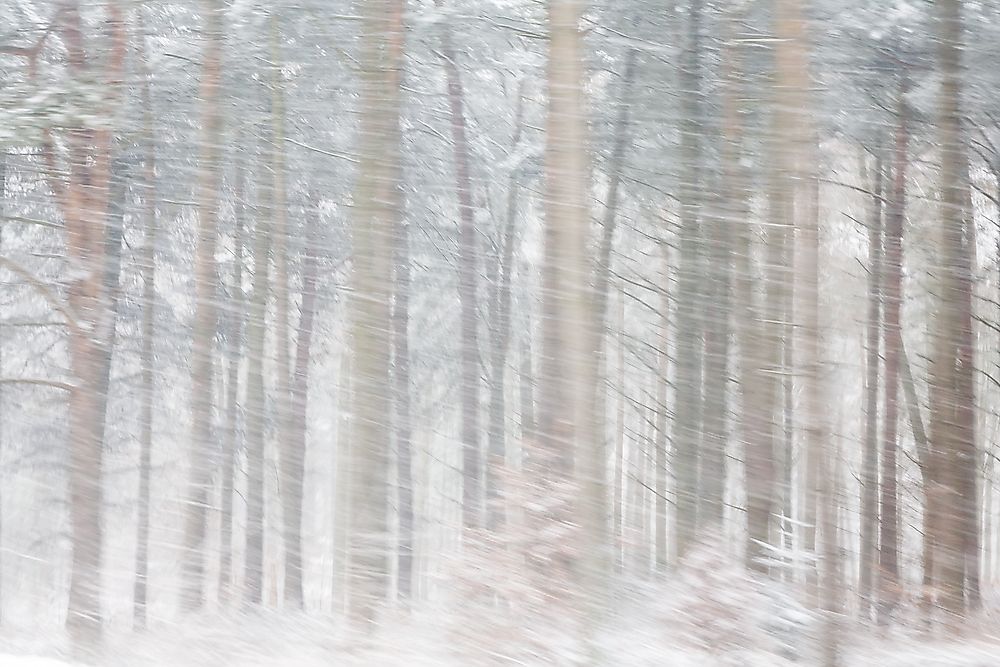 Snow squalls are characterized by an abrupt violent wind accompanied by snow, hail, or rain.