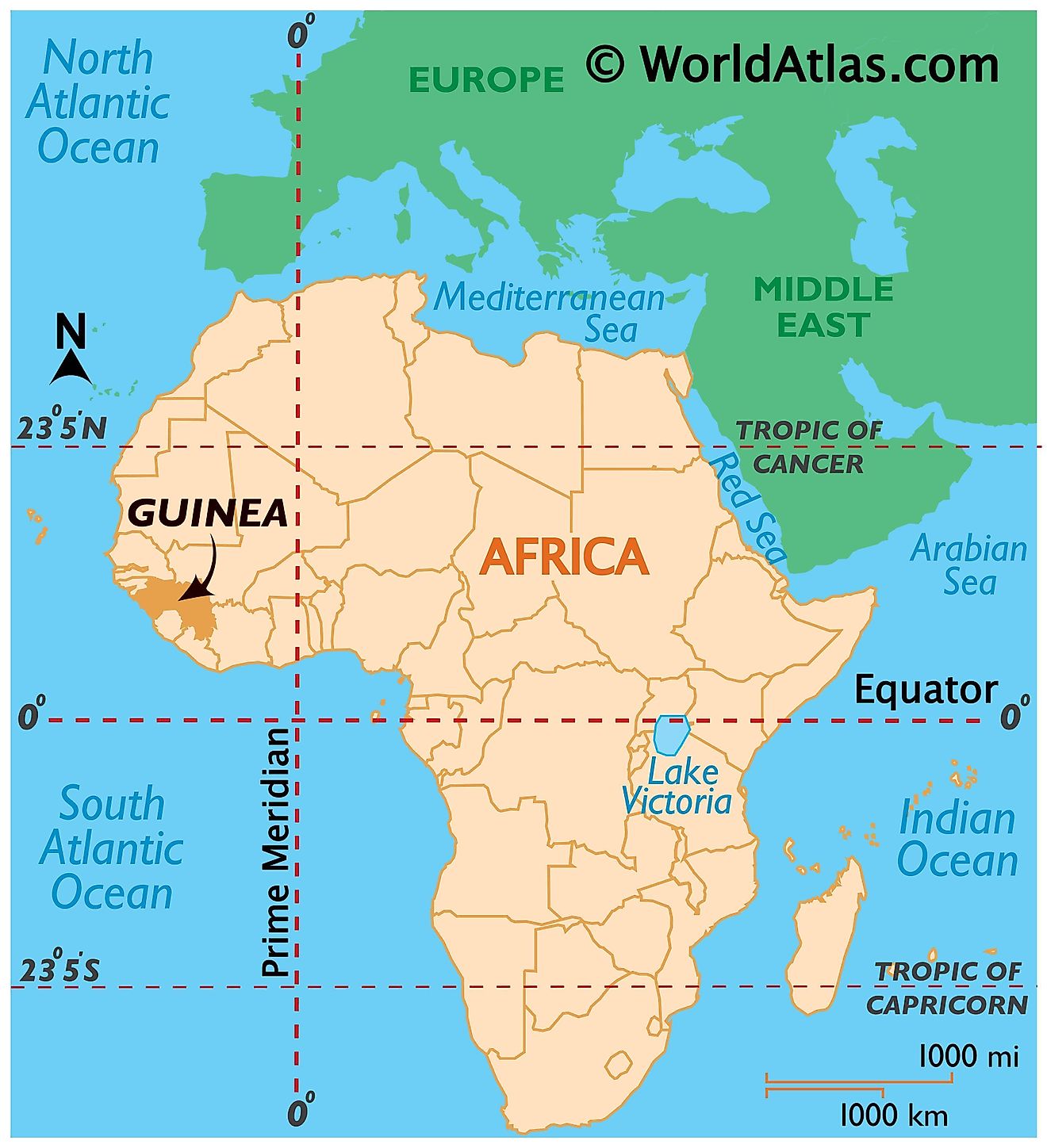Mapa que muestra la ubicación de Guinea en el mundo.