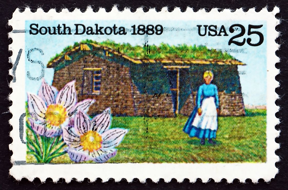 A stamp from 1889 showing the state flower of South Dakota.  Editorial credit: Boris15 / Shutterstock.com. 