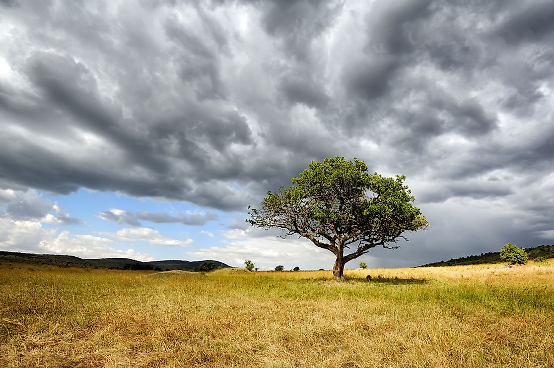 The South African landscape, where the "little five" can be found. 